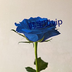 韩宝贝vip （先知先觉）