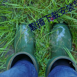 趣播(bō)下(xià)载安装苹果(guǒ)手机(jī)版