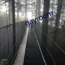 gayroom