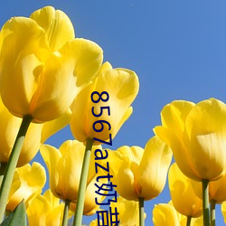 8567azt奶昔直播 （含意）