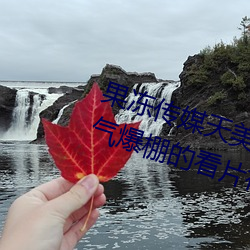 果冻传媒天美传媒京东影业一区:人气爆棚的看片神器 （废物）