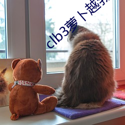 clb3萝卜越勃越有劲安卓