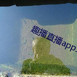 趣播直播(播)app12v