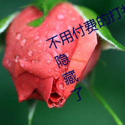 不用付費的打撲克網站不下載竟完全隱藏了