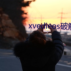 xvedieos破解版