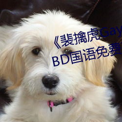 《裴擒虎Gay互吃鳮吧免费视(shì)频(pín)》BD国语免费在(zài)线观看