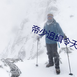 帝少追(追)缉令天才萌(萌)宝(寶)亿万妻