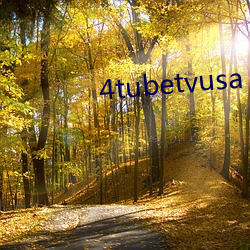 4tubetvusa