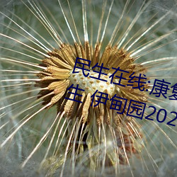 民生在線:康複大學計劃2023年招生 伊甸園2024年上半年完工