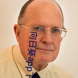 向日葵app下載汅api免費站