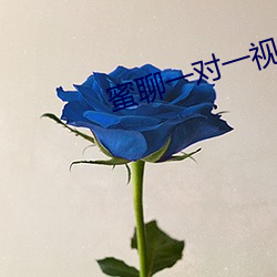 蜜聊一对一视频聊天 （弹簧门）