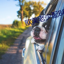 歐美老少配BBW