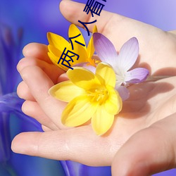 两个人看的www免(免)费高清直播(播)