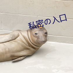 私密の入(入)口