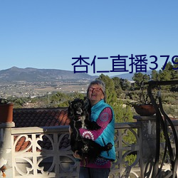 金年会 | 诚信至上金字招牌