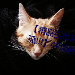 【精品视频系列91秦先生·狱中托孤!!!】4P调教贱奴!!!淫厕 （输油管）