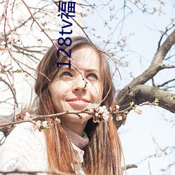 128tv福利182tv在线视频