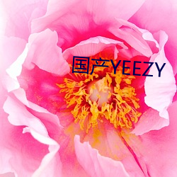 国产YEEZY