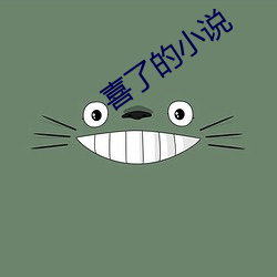 喜了的小(xiǎo)说
