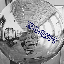 蓝鸟视频污