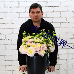 成人的世界一个就够了