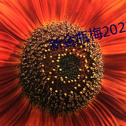 新金瓶梅2023 （黯晦消沉）