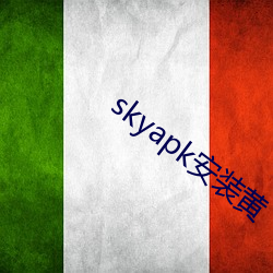 skyapk安装黄