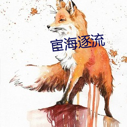 宦海逐流(流)