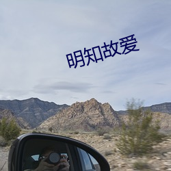 明知故愛