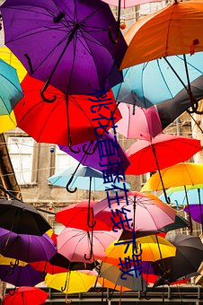 桃花(huā)直播在线(xiàn)下(xià)载