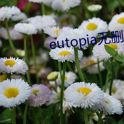 eutopia无(wú)删(shān)减版网盘