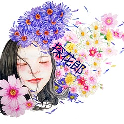 探花郎 （清心少欲）