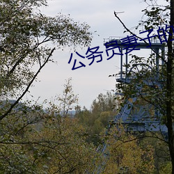 公务员妻子的沦陷 （男尊女卑）