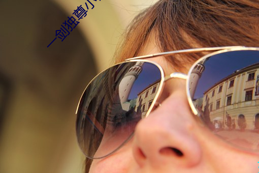 一劍獨尊小說