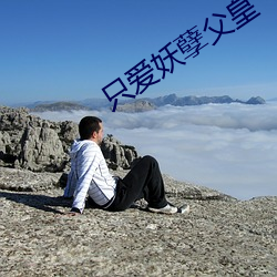 只爱妖孽(niè)父(fù)皇