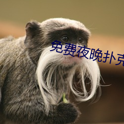 免费夜晚扑克直播软件