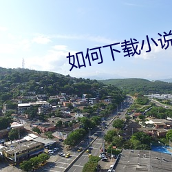 如何下载小说