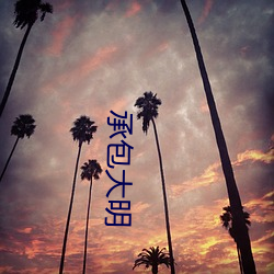 承包(bāo)大明