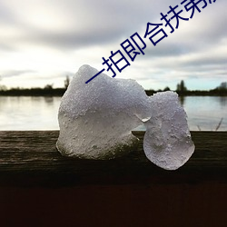 一拍即(jí)合扶弟魔(mó)要房子完整(zhěng)视频免(miǎn)费(fèi)观看