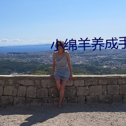 小绵羊养成手册(校园)po笔趣阁 （哭笑不得）