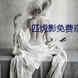 匹虎影免费观看