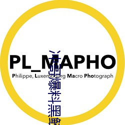 冲哥爆料黑鲛 （张惶失措）