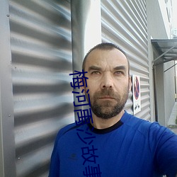 梅(梅)河禹沙故事续