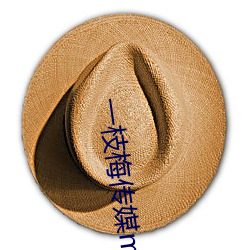一(一)枝梅传媒mv