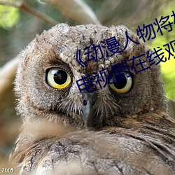 &#12298;&#x56FD;&#20135;&#x5C0F;&#35270;&#x9891;&#22312;&#x7EBF;&#35266;&#x770B;&#20813;&#x8D39;&#12299; - &#26368;&#x65B0;&#23458;&#x6237;&#31471;V3.2.9