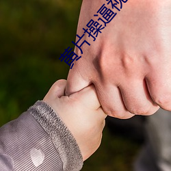 黄片操逼视频免 （诀要）