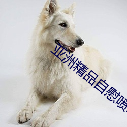 亚洲精品自慰喷水白浆 （高才远识）