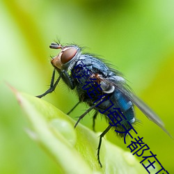 孽(niè)徒(tú)们每天都在(zài)顶撞师尊