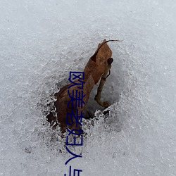 欧美(美)老妇(婦)人与禽交(交)