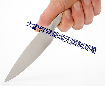 大(dà)象传媒视频无(wú)限制(zhì)观(guān)看